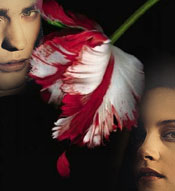 Twilight, il sequel: New Moon senza Catherine Hardwicke
