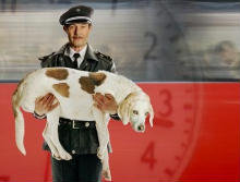 Il 19 giugno uscirà al cinema: “Il Mondo Del Signor Horten” il nuovo film di Bent Amer